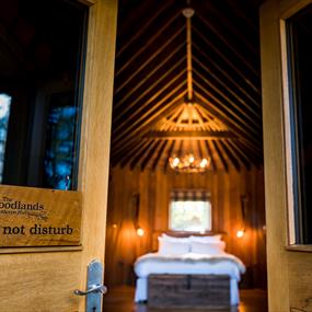 Treehouse - Hothorpe