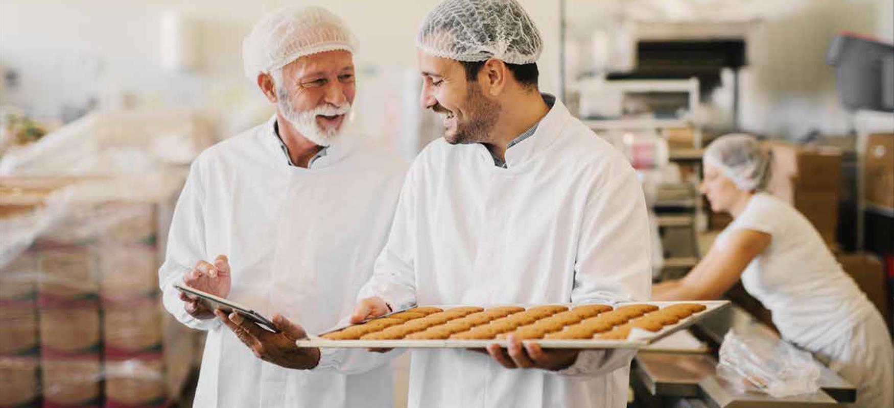 Food & Drink Manufacturing Service Sector