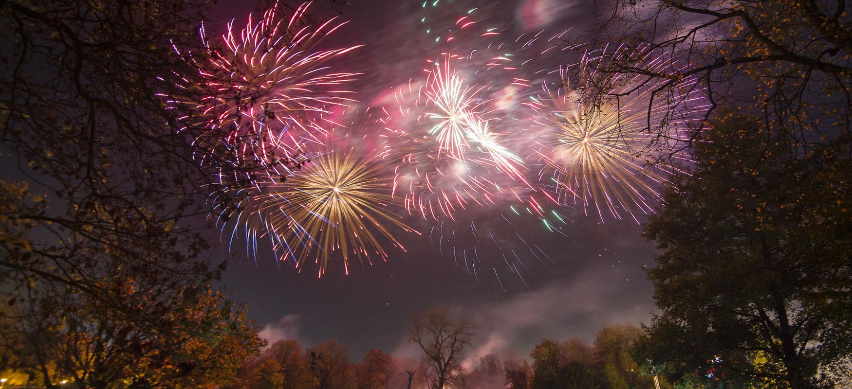 Festivals in Leicester