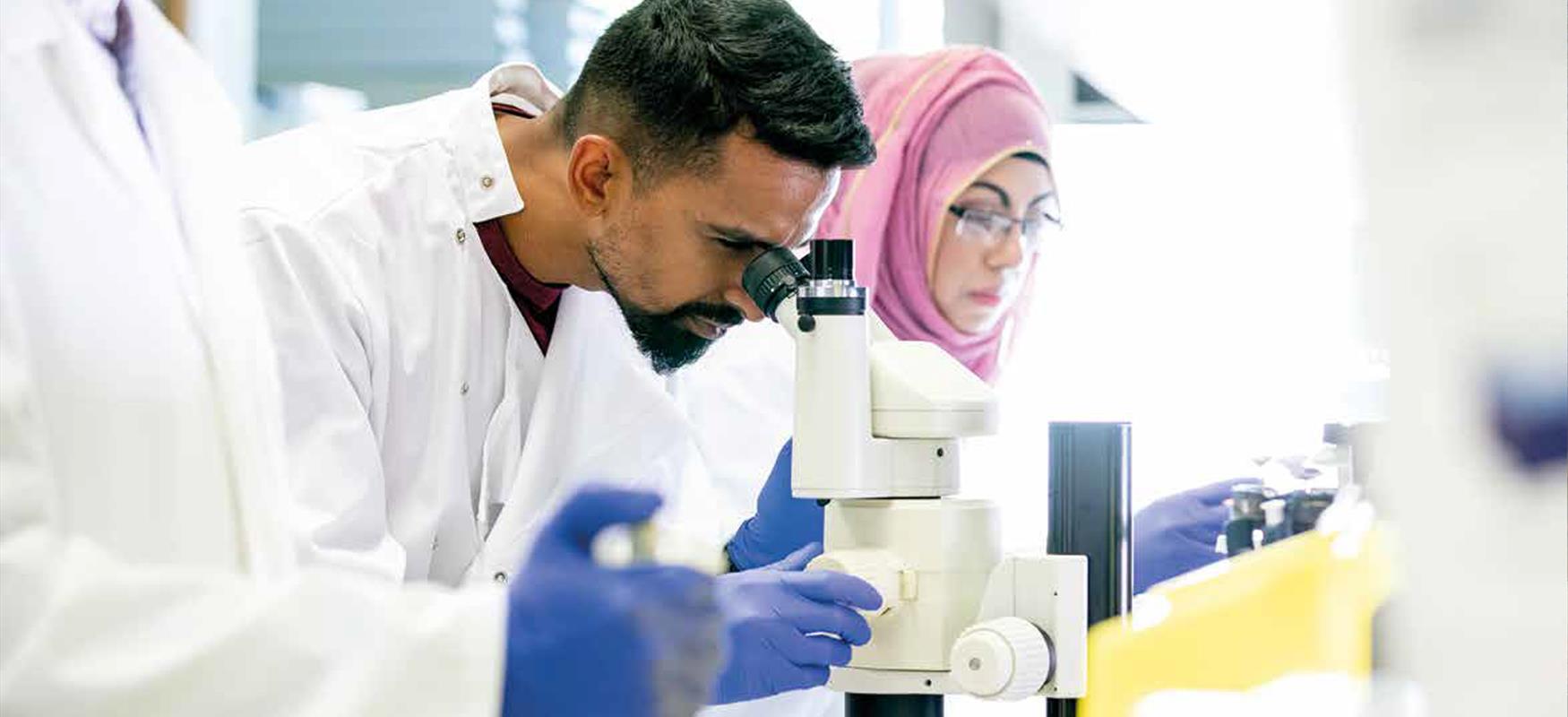 Life Sciences Service Sector