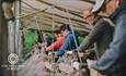 National Forest Corporate Experiences Wood Work Activity