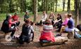 National Forest Corporate Experiences Forest Bathing Feanedock